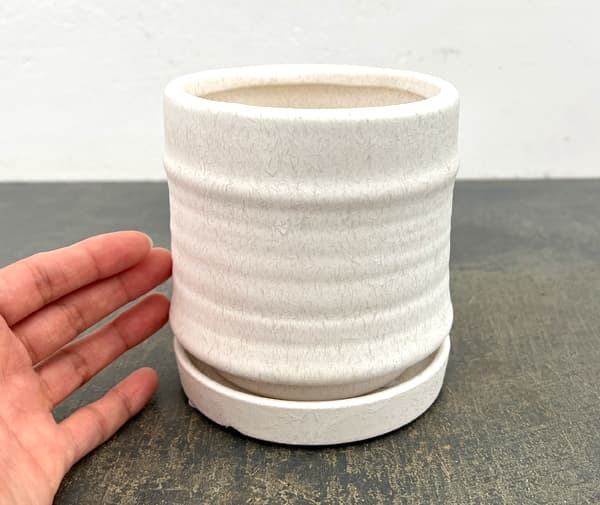 アゴラ:白S(直径約11.5cm)・受け皿付