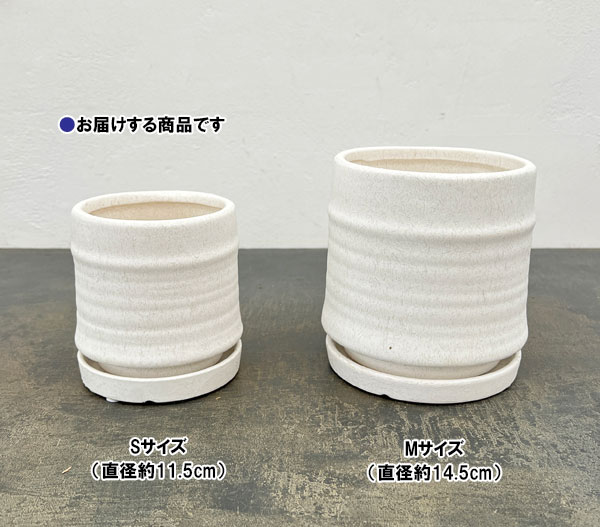 アゴラ:白S(直径約11.5cm)・受け皿付