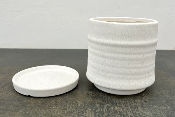 アゴラ:白M(直径約14.5cm)・受け皿付