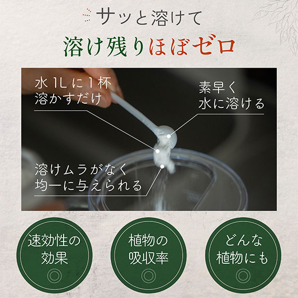 水に溶かして速く効く粉末液肥100gと添加液肥20ml