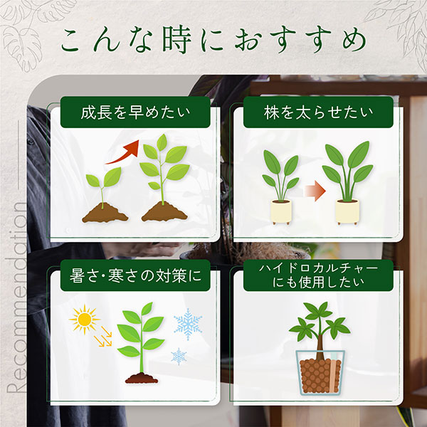 水に溶かして速く効く粉末液肥100gと添加液肥20ml