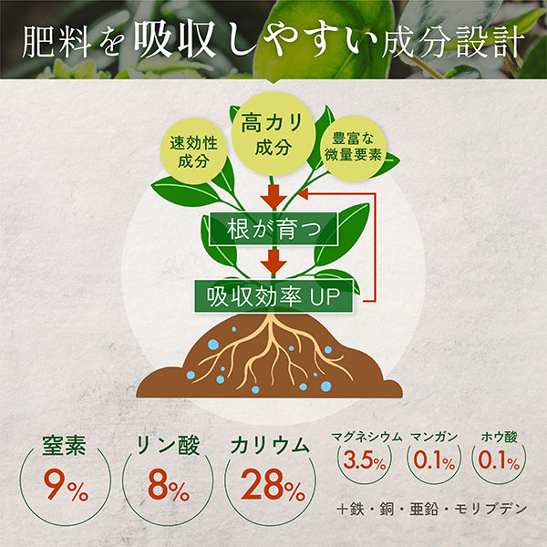 水に溶かして速く効く粉末液肥100gと添加液肥20ml