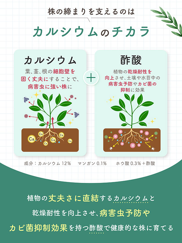 水でうすめるカルシウム液肥 150ml
