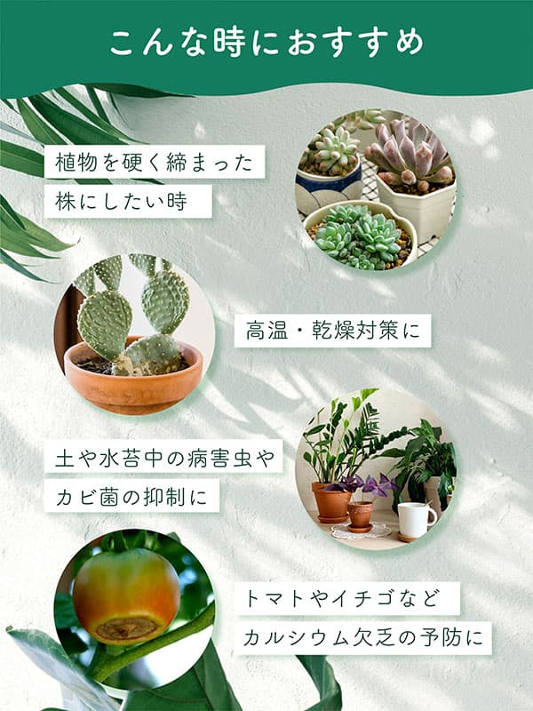 水でうすめるカルシウム液肥 150ml
