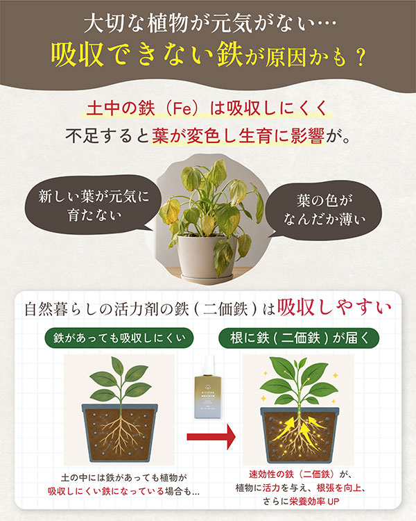 水でうすめる植物の活力剤 50ml