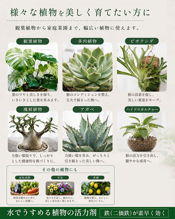 水でうすめる植物の活力剤 50ml