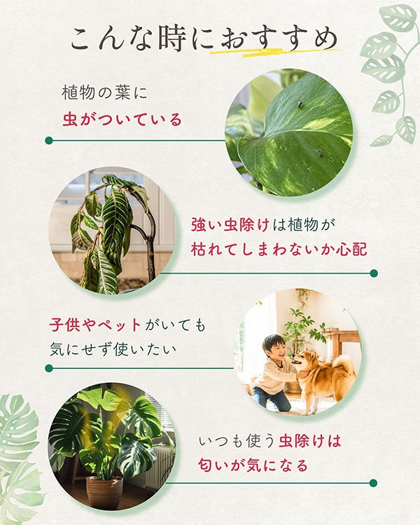 水でうすめてミストする植物のためのアロマ虫ケア　10ml