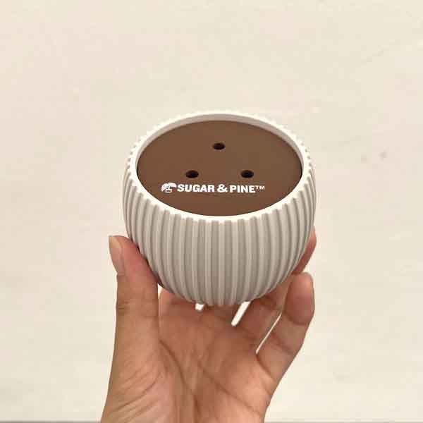 飾れる 斑入りモンステラ コースター ホワイトポット