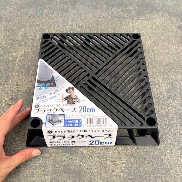 ブラックベース 20cm