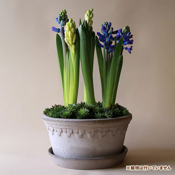 BERGS POTTER:コペンハーゲン25 LOW グレー(直径25cm)45448