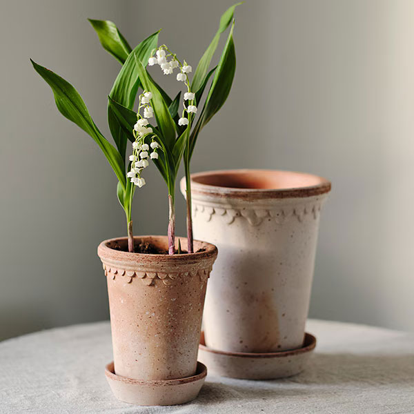 BERGS POTTER:コペンハーゲン トール14 ナチュラル(直径14cm)45497
