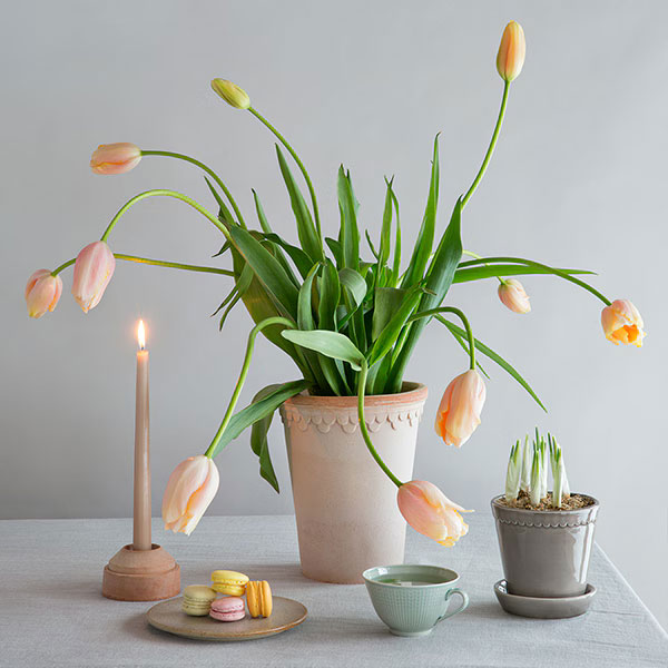 BERGS POTTER:コペンハーゲン トール14 ナチュラル(直径14cm)45497