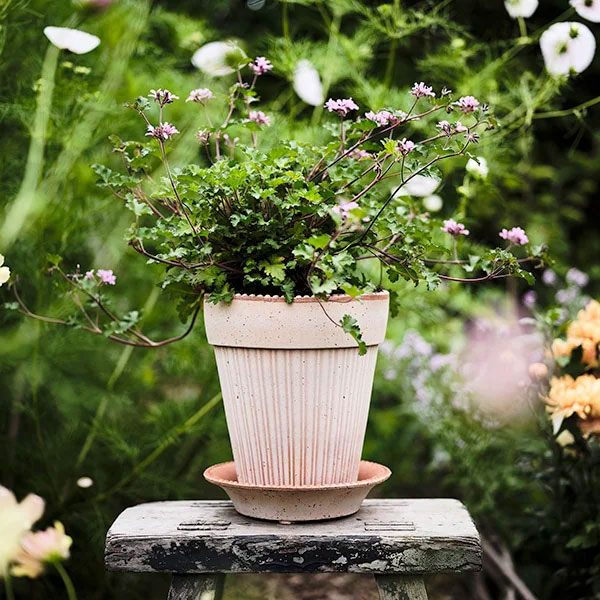 BERGS POTTER:シモナ14 ナチュラル(直径14cm)45779