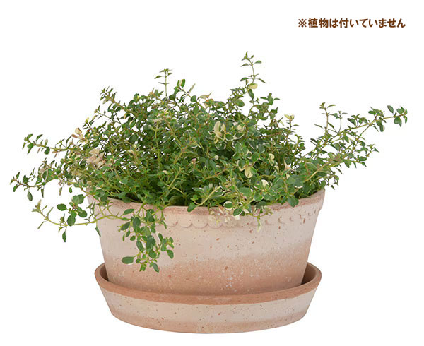 BERGS POTTER:ヘレナ21 LOW ナチュラル(直径21cm)42877