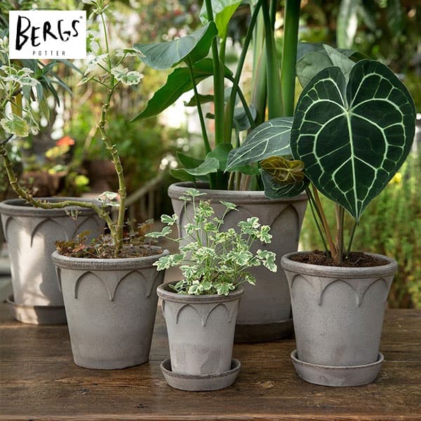BERGS POTTER:エリザベス18 グレー(直径18cm)45053