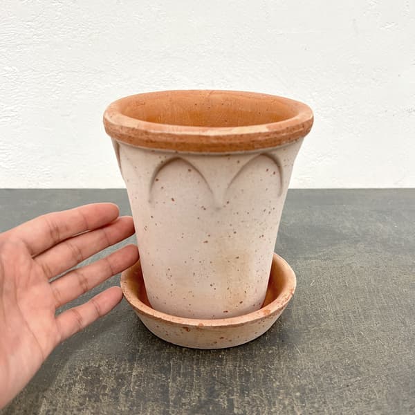 BERGS POTTER:エリザベス12 ナチュラル(直径12cm)45456