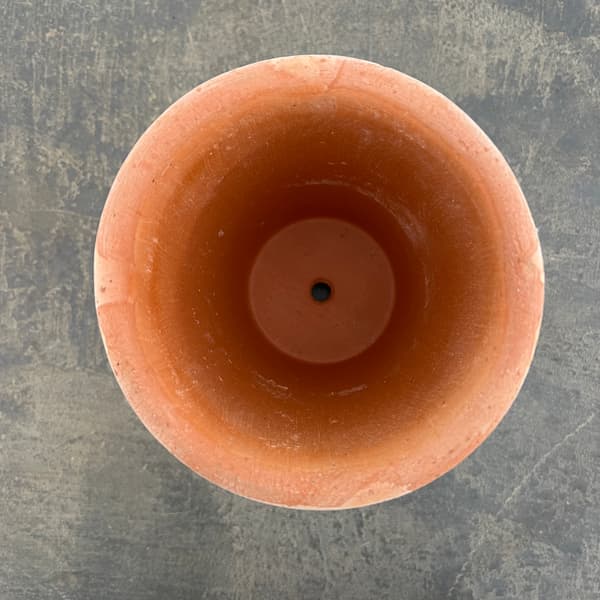BERGS POTTER:エリザベス12 ナチュラル(直径12cm)45456