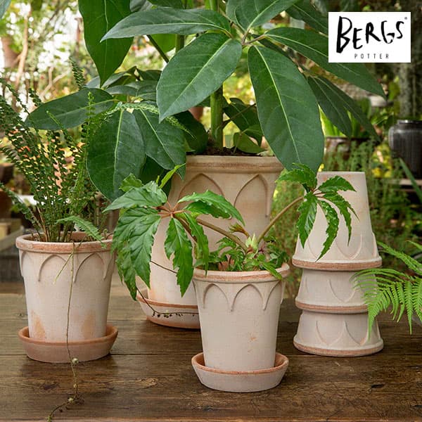 BERGS POTTER:エリザベス12 ナチュラル(直径12cm)45456