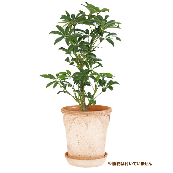 BERGS POTTER：エリザベス14 ナチュラル(直径14cm)45054