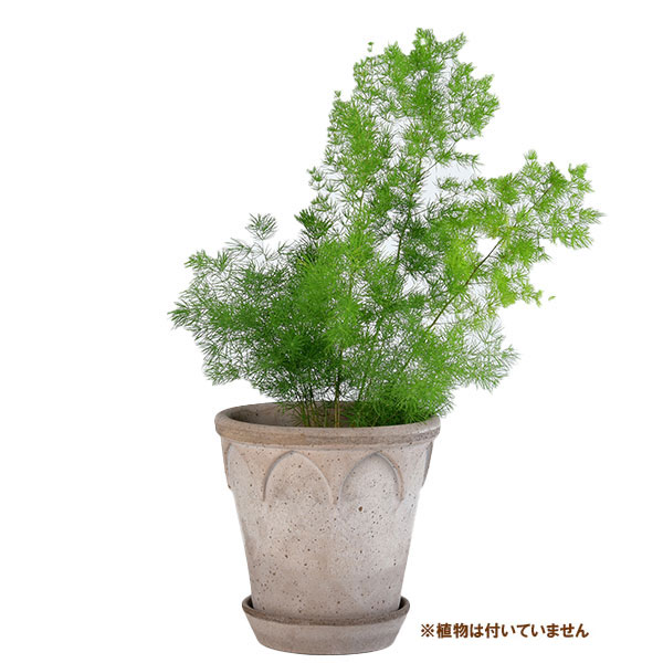 BERGS POTTER:エリザベス18 グレー(直径18cm)45053
