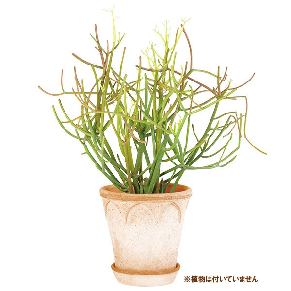 BERGS POTTER:エリザベス18 ナチュラル(直径18cm)45055