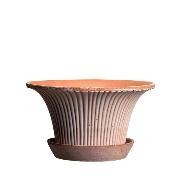 BERGS POTTER：デイジー25 ナチュラル(直径25cm)42889