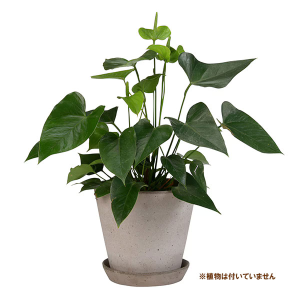 BERGS POTTER:ジュリー21 グレー(直径21cm)42885