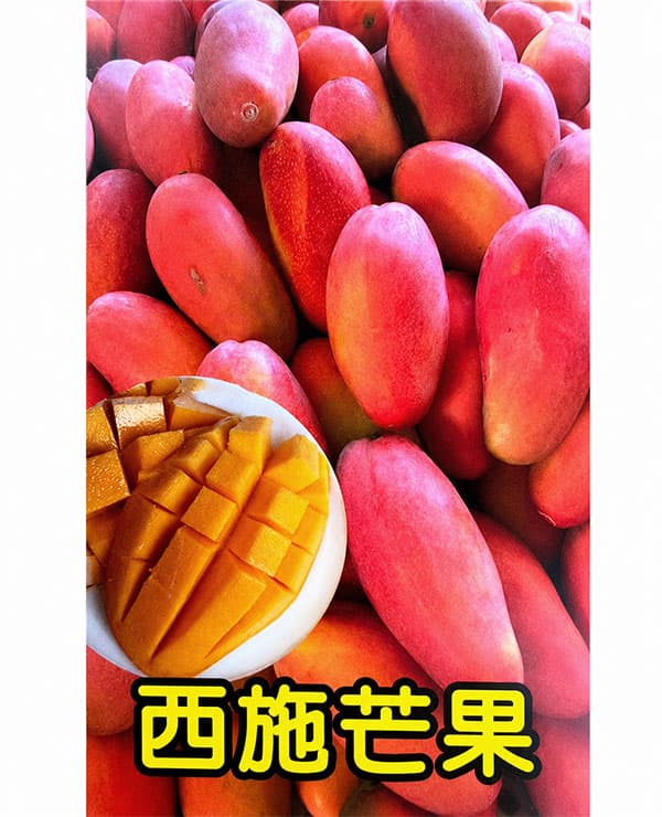マンゴー:西施マンゴー 4号