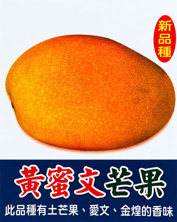 マンゴー:黄蜜文マンゴー 6号