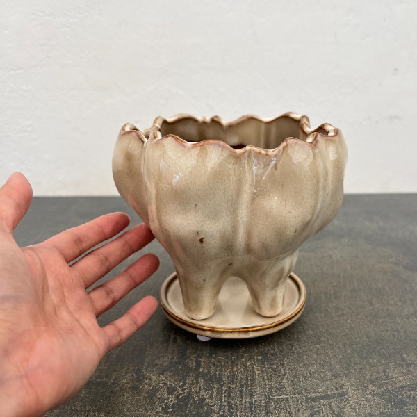 ランプポット アンド ソーサー Sサイズ アイボリー(幅14.8cm、奥行14.3cm、高さ13.4cm)