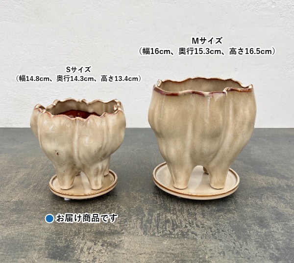ランプポット アンド ソーサー Sサイズ アイボリー(幅14.8cm、奥行14.3cm、高さ13.4cm)