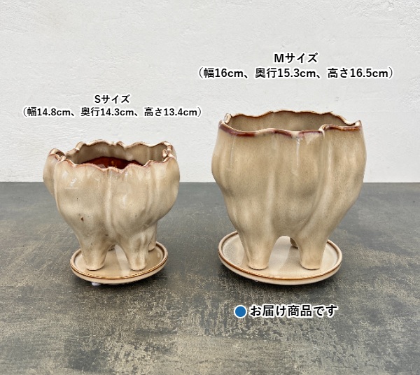 ランプポット アンド ソーサー Mサイズ アイボリー(幅16cm、奥行15.3cm、高さ16.5cm)