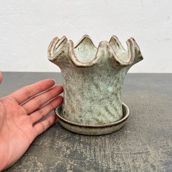 タロンポット アンド ソーサー Sサイズ ホワイト(幅13.5cm、高さ12.8cm)