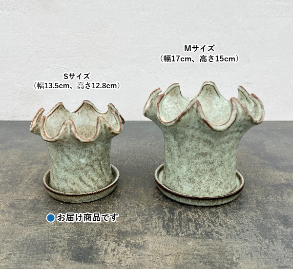 タロンポット アンド ソーサー Sサイズ ホワイト(幅13.5cm、高さ12.8cm)