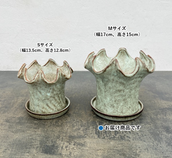 タロンポット アンド ソーサー Mサイズ ホワイト(幅17cm、高さ15cm)