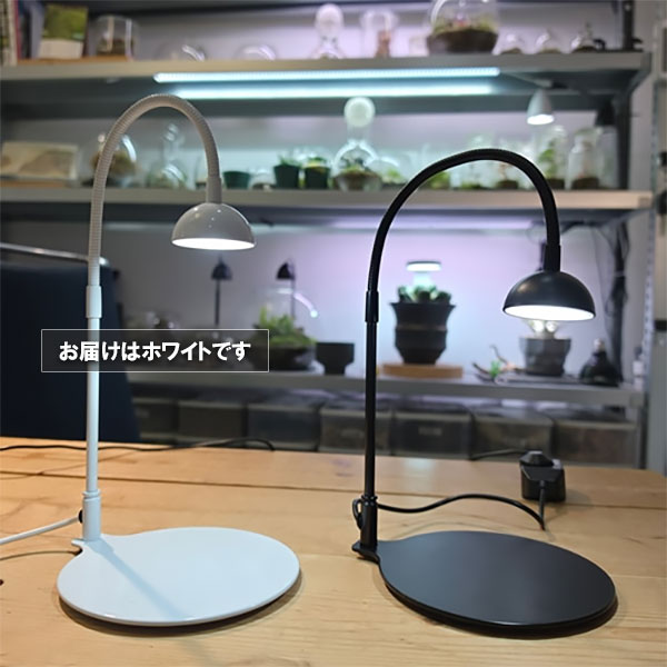 テラリウム専用育成ライト:GROW 01(グロウ01ホワイト)
