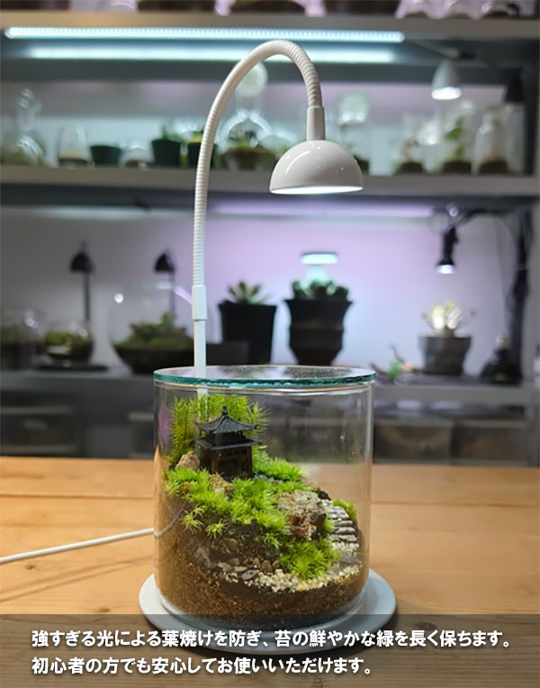 テラリウム専用育成ライト:GROW 01(グロウ01ホワイト)