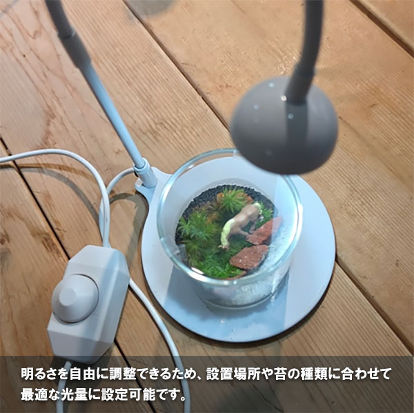 テラリウム専用育成ライト:GROW 01(グロウ01ホワイト)