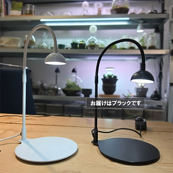 テラリウム専用育成ライト:GROW 01(グロウ01ブラック)
