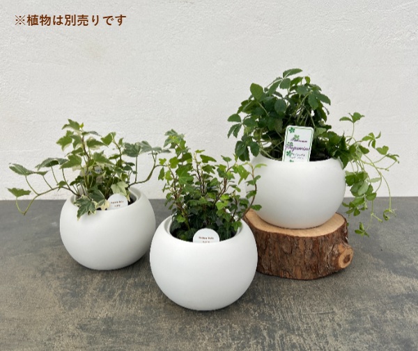 アクアテラポット:ベーシックボウル10.5(器のみ・苗別売)直径10cm、高さ10cm