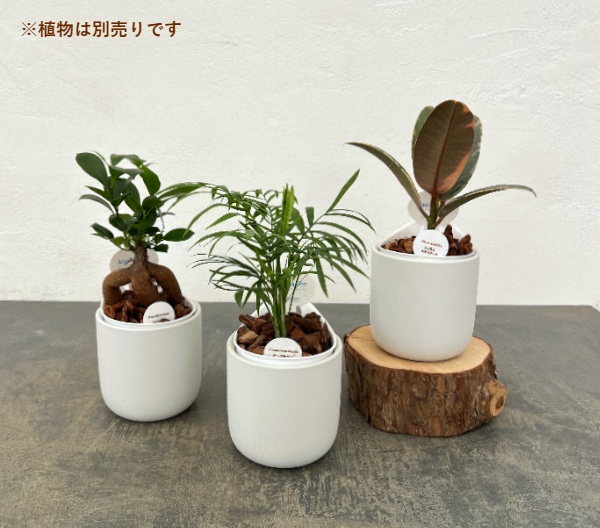 アクアテラポット：ベーシックラウンド10.5（器のみ・苗別売）直径12cm、高さ9.5cm
