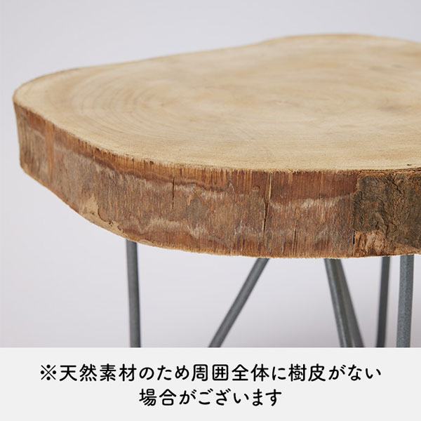 ウッドスライススタンド17(直径約25cm、高さ約17cm)50015