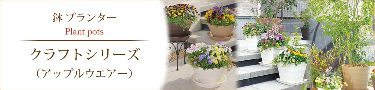 クラフトシリーズ（アップルウエアー）