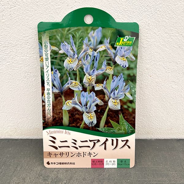 アイリス（ミニ）：キャサリンホドキン5球入り