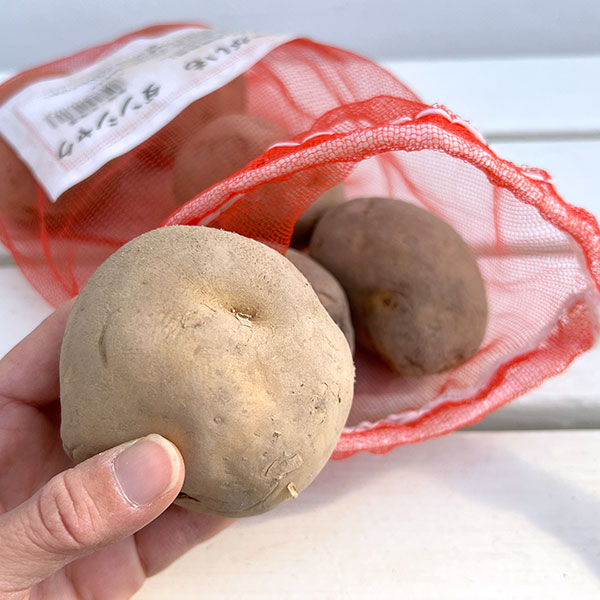 ジャガイモの種いも：男爵（ダンシャク）1kg