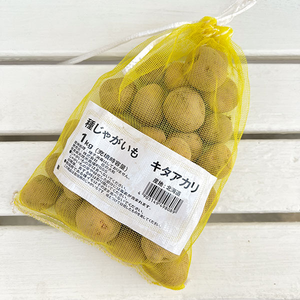 ジャガイモの種いも：キタアカリ1kg