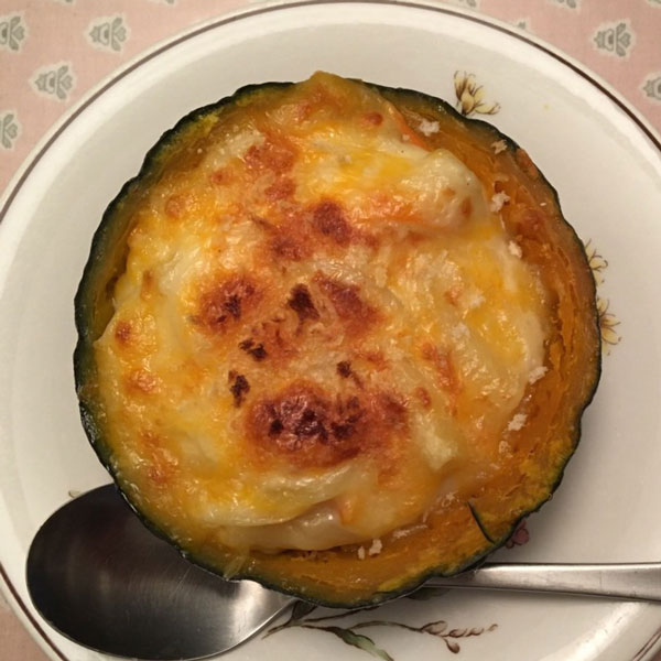 [26年4月下旬予約]カボチャ（ミニ）：坊ちゃん 自根苗3.5号ポット