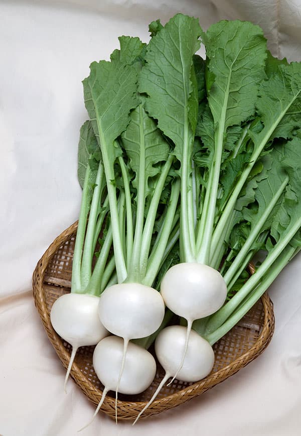 カブ種：ゆきわらし*[野菜タネ]