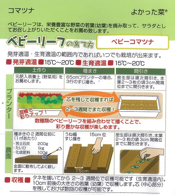 【有効期限25年10月】ベビーリーフの種：ベビーコマツナ よかった菜 [周年まき可能 タネ]