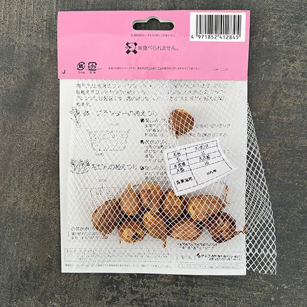 フリージア（一重咲）：白10球入り